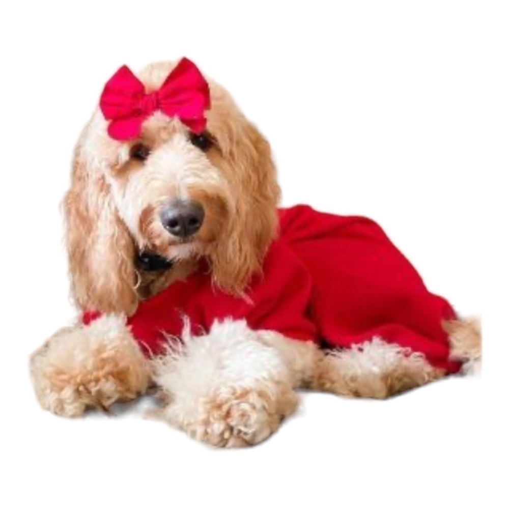 Doggie Red & White Polyester Outfit Size Medium Dog Cuffs